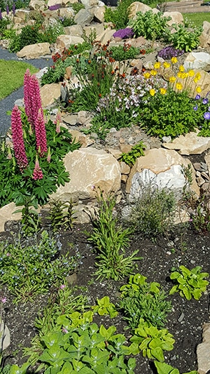 Dunnet Bay Distillery Rockery