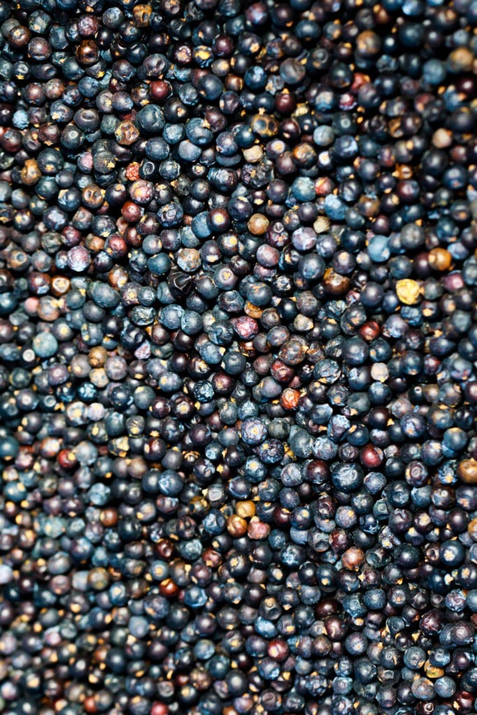 Rock Rose seeds