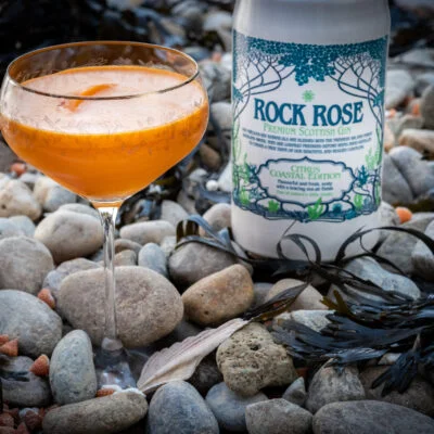 Sea Buckthorn Sour