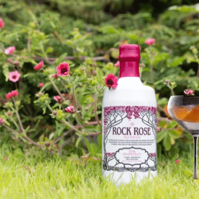 Our Perfect Serve – Pink Grapefruit Old Tom