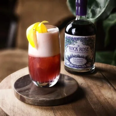 Sloe Gin Fizz